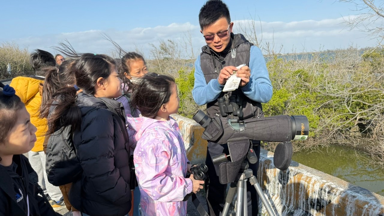 賞鳥生態導覽